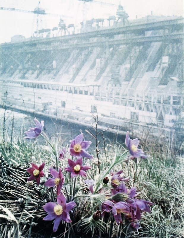 Советская история в фотографиях легендарного Дмитрия Бальтерманца 34