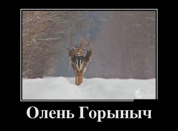 Такие вот демотиваторы...