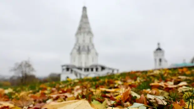 Терапевт Гумалевский перечислил способы поддержать организм осенью