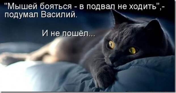f165a33caff1c6ef061d421e7d9_prev