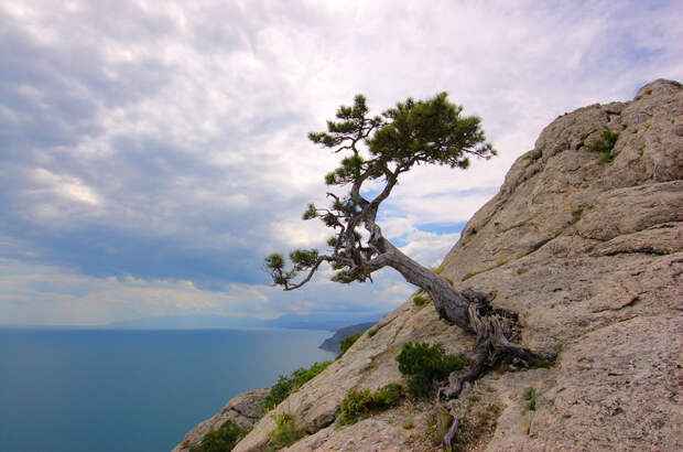 Black Sea from Krymn Mountain Чудеса природы и древние руины Крыма