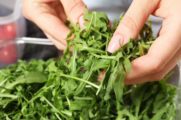 Специалист Сюракшина: зелень и абрикосы являются лучшими источниками клетчатки