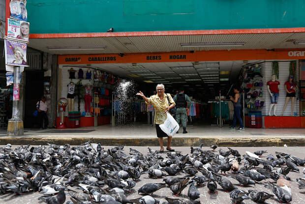 Жительница Панама-Сити кормит голубей в центре города. Апрель 2014 года.