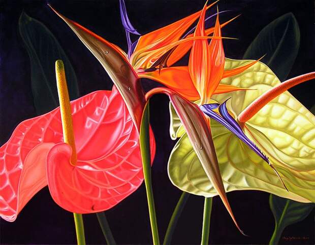 Цветы в работах художника Эллери Гутьеррес (Ellery Gutierrez) 