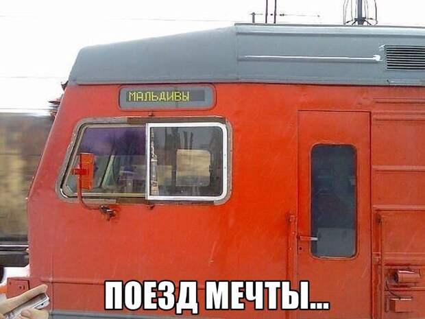 Смешные картинки с подписями  юмор, картинки, прикол