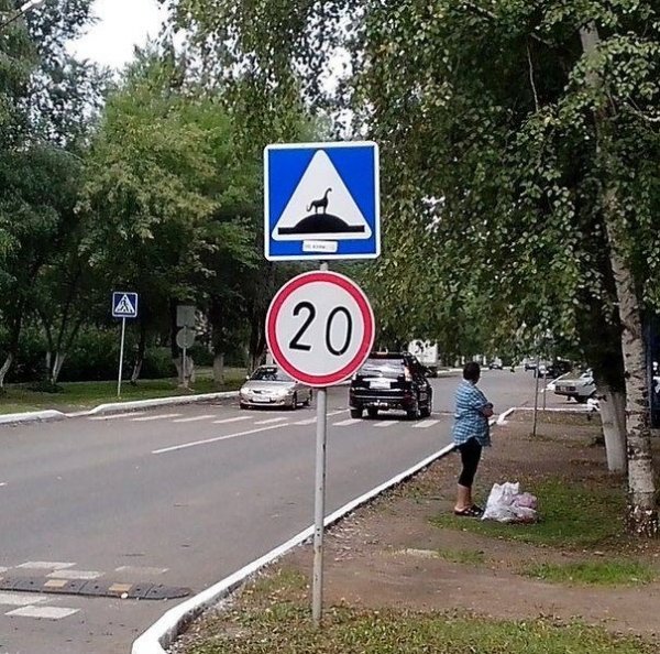Автоюмор (50 фото)