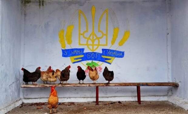 «Мужики прячутся от мобилизации и не выйдут на посевную», – «аграрную сверхдержаву» ждёт голод