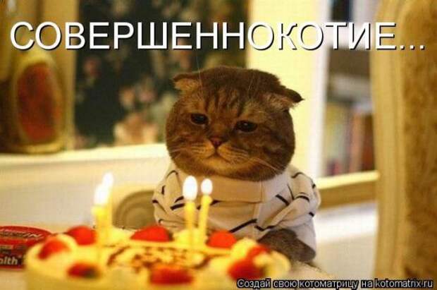 Котоматрицы(картинки с надписями)