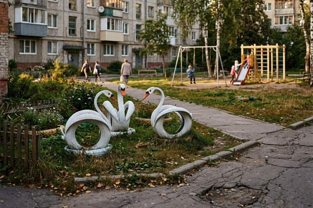 Штраф за лебедя: в Новосибирске запретили фигуры и клумбы из старых покрышек
