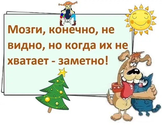 Мозги конечно. Мозги конечно не видно. Мозгов конечно не видно но когда их не хватает заметно. Когда мозгов не хватает заметно. Мозги конечно не видно но когда их не хватает заметно картинка.