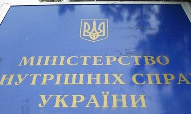 В МВД составили список социальных льгот для участников АТО