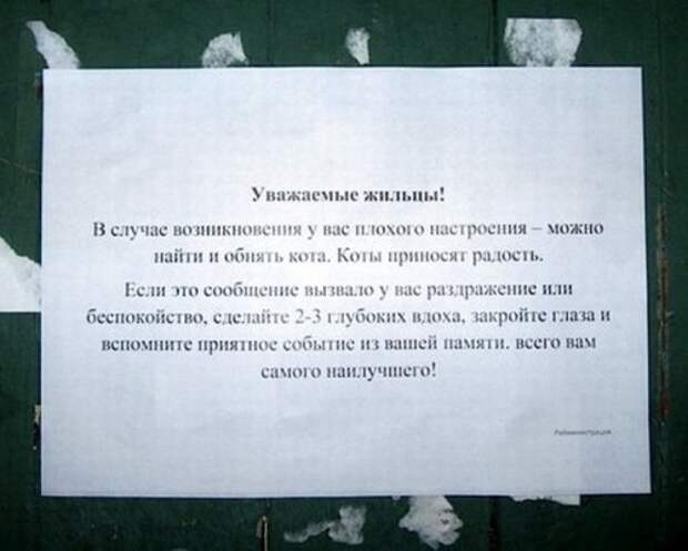 Смешные и прикольные объявления, вывески и надписи (19 фото)