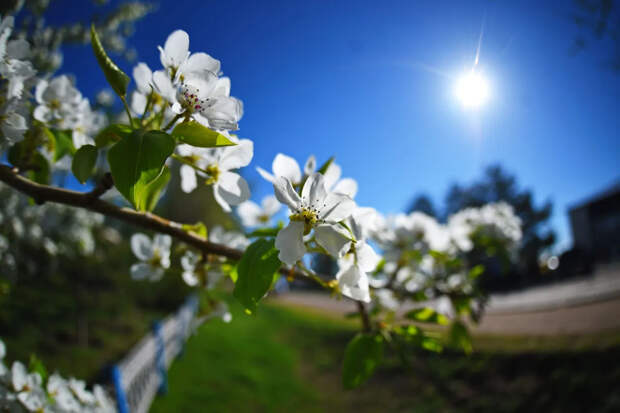 20 марта наступит весеннее равноденствие: что происходит в этот день и почему он считается особенным