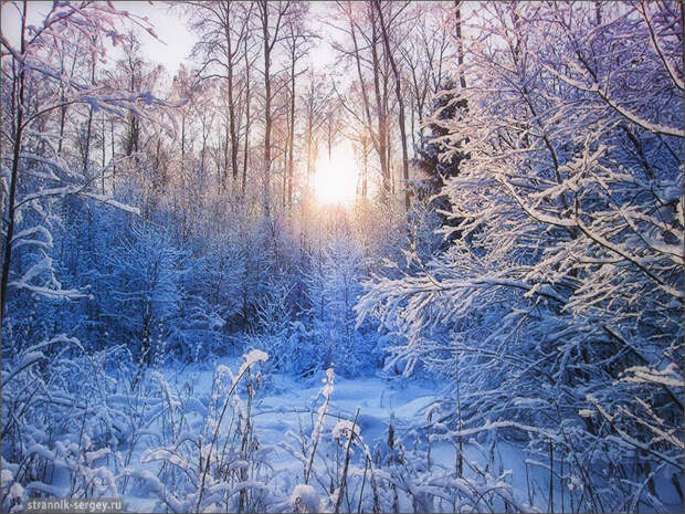 Новогодние открытки из русской зимы