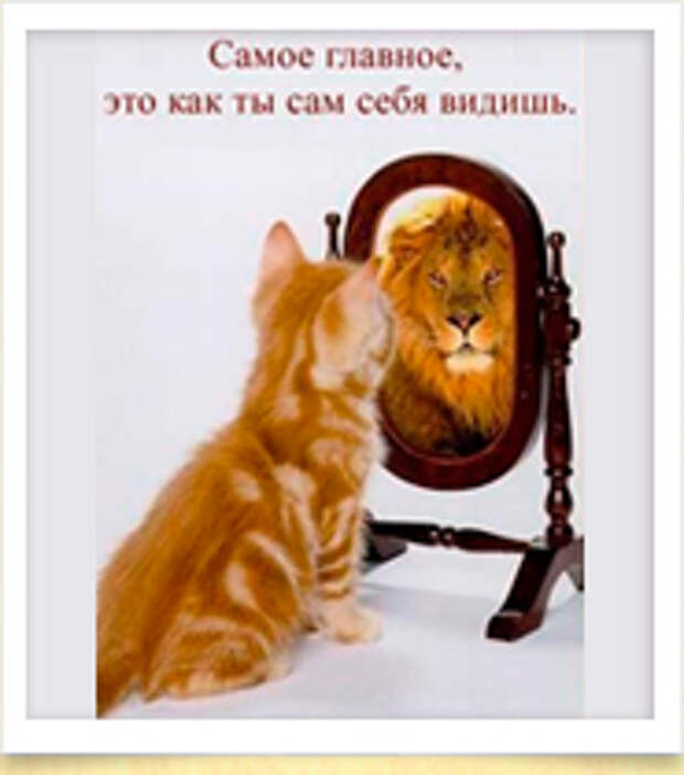 Зеркало не врет