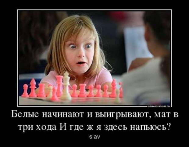 Демотиваторы, наши прикольные цитаты.