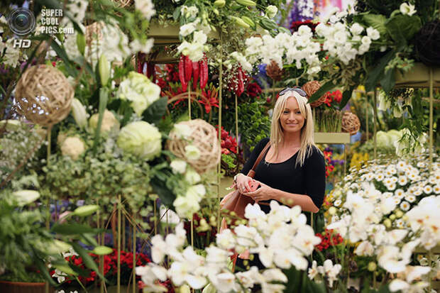 Выставка цветов и ландшафтного дизайна Chelsea Flower Show 2014