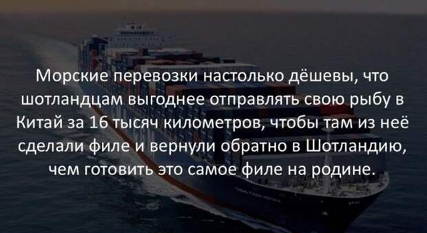 Интересные факты