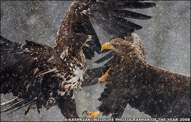 Просто Фото