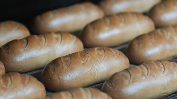 Собянин: развитие пищевой отрасли является одним из приоритетов Москвы