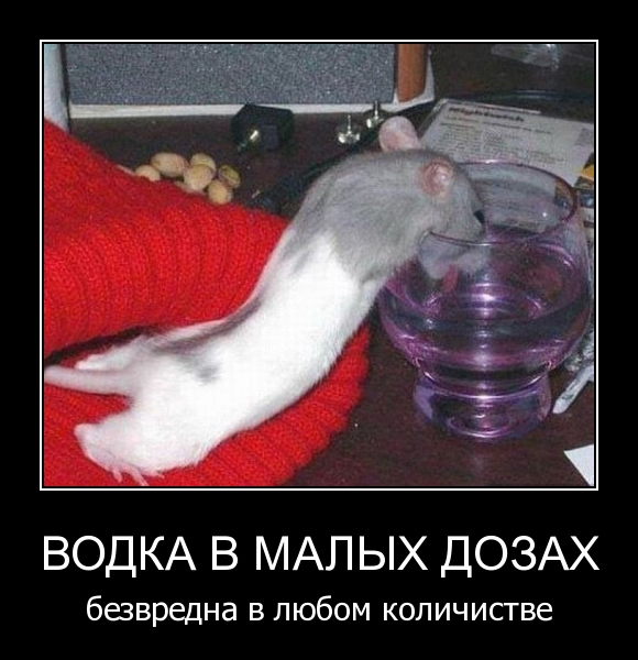 Демотиваторы от 29.09.11