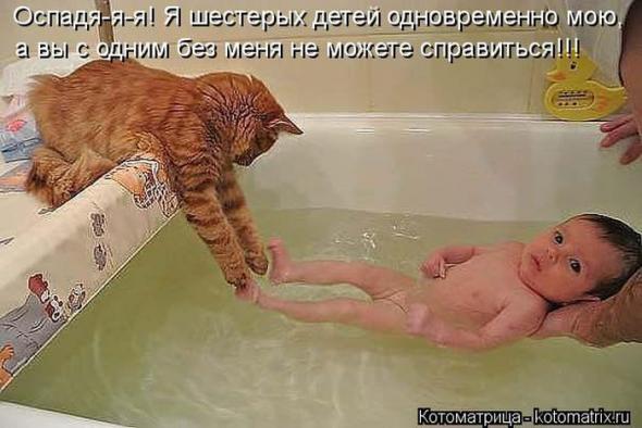 Котоматрицы(картинки с надписями)