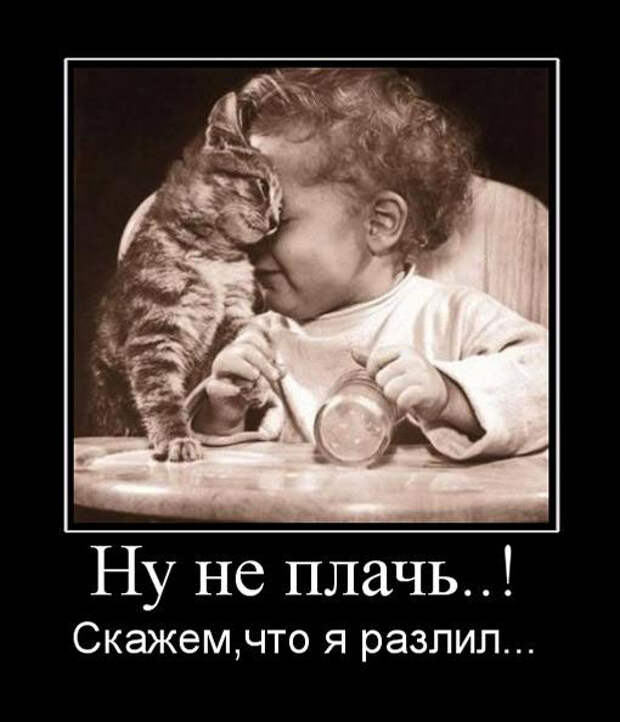 Прикольные картинки с надписями - суперподборка (130 картинок) Прикольные картинки с надписями - суперподборка (130 картинок)