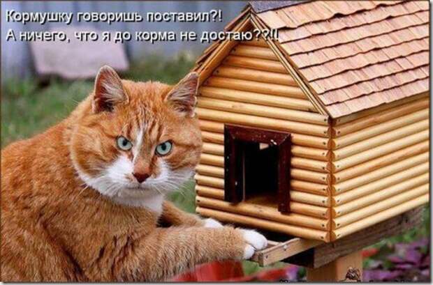6e7df3c013dbdf05f21ff18586c_prev