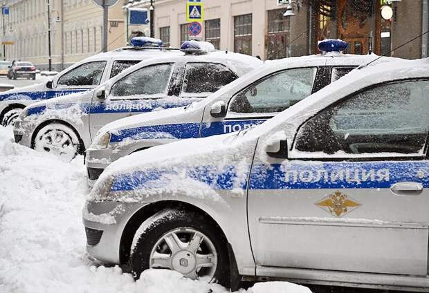 Девятилетняя россиянка вышла из дома с собакой и пропала