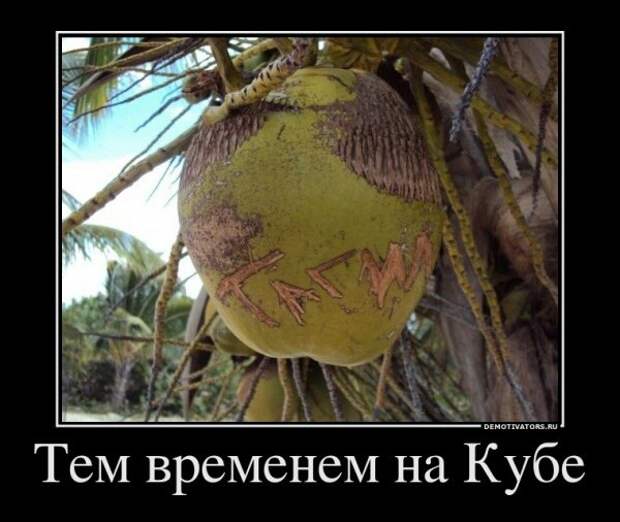 Всяко - разно 12 )))