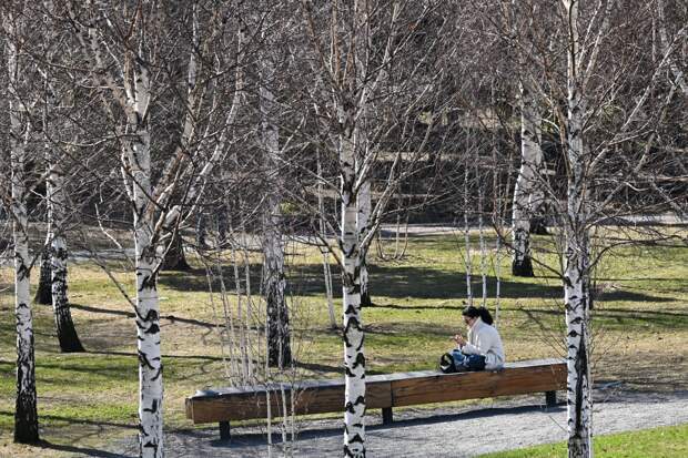 Россиянам рассказали об отличиях аллергии на пыльцу березы от простуды