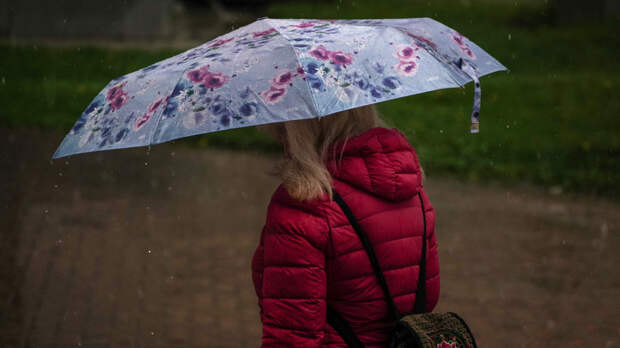«Желтый» уровень погодной опасности объявили в Московском регионе из‑за дождей