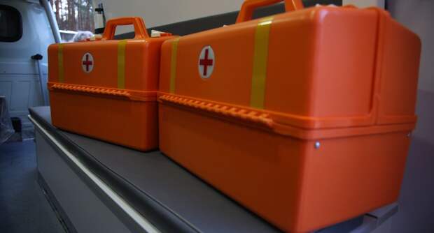 Четыре человека погибли в ДТП с Renault Logan и грузовым поездом под Псковом