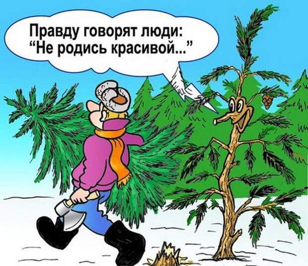 Юмор в картинках Юмор в картинках