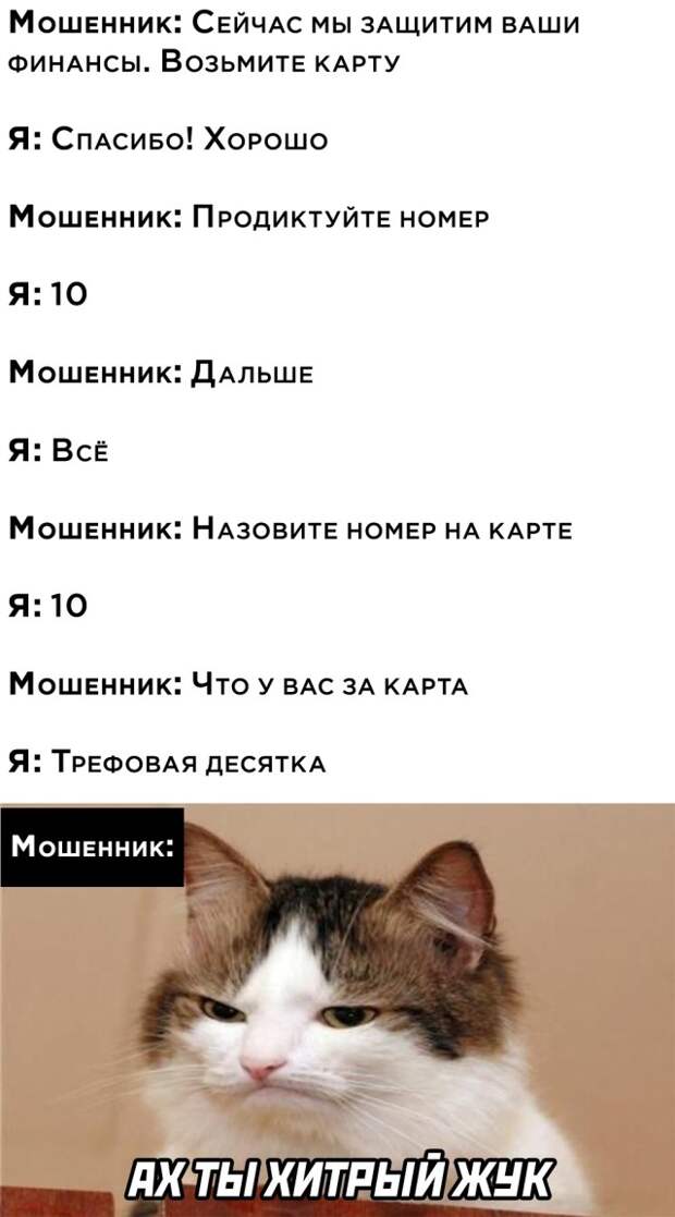 Смешные картинки вечер 20 января 2021 года