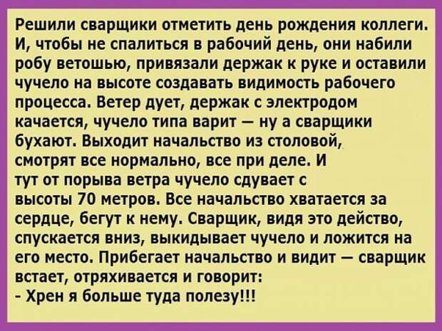Свежая порция позитива: 12 уморительных анекдотов и историй