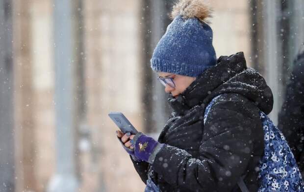 Депутат Горелкин: в России не будут вводить штрафы за использование VPN