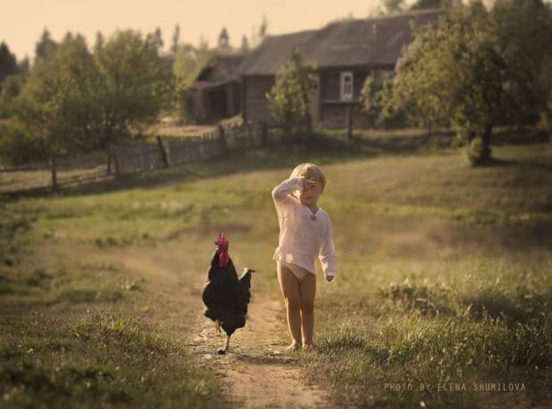 Лето в деревне  лето, деревня