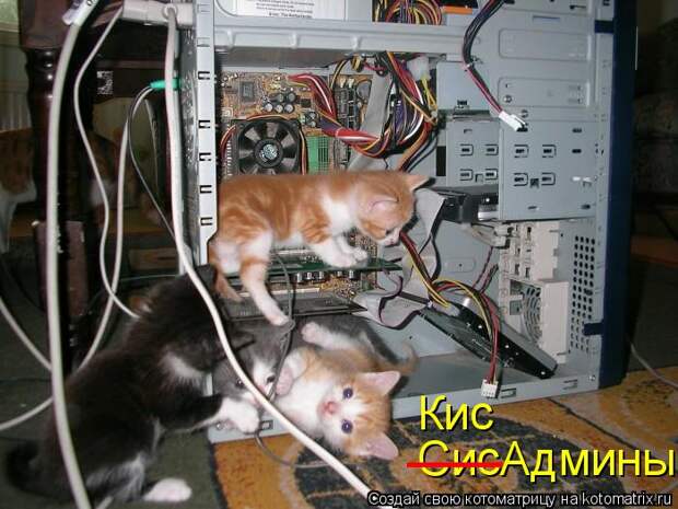 СисАдмины ___ Кис