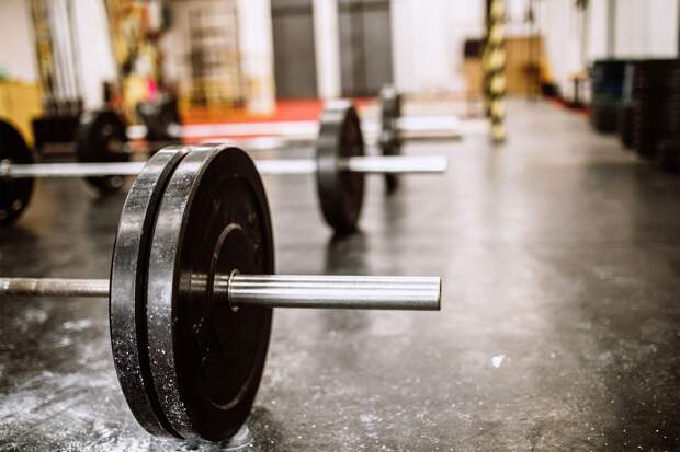Don't Muscle In Don't Muscle In