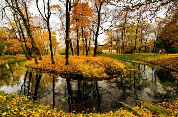 osen-prud-peterburg (800x563, 227Kb)