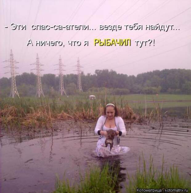 Котоматрицы (картинки с надписями)
