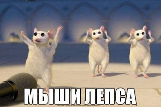 Прикольные фотомемы (25 шт)