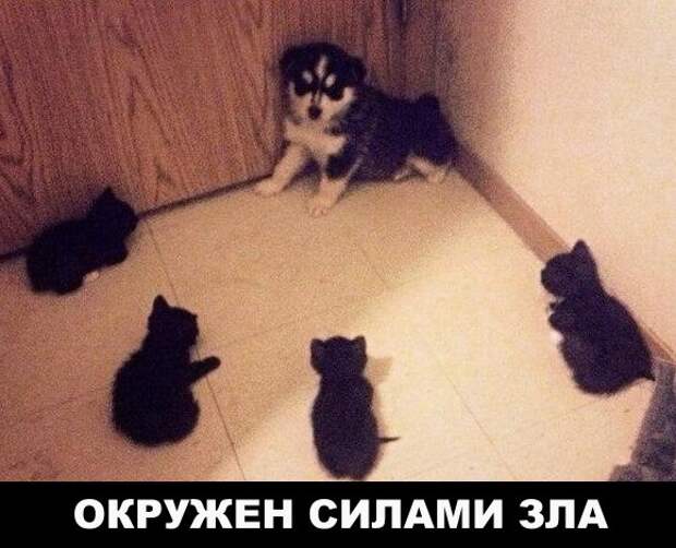 Веселые картинки с надписями на выходные (10 фото) Веселые картинки с надписями на выходные (10 фото)
