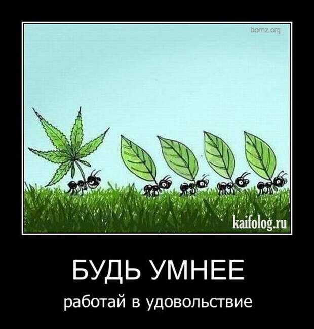 Демотиваторы - 167 (50 фото)