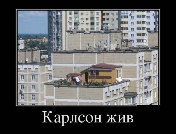 Демотиваторы (30 фото)