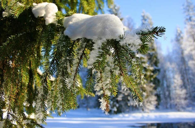 Январь остаётся самым холодным периодом года в нашей стране