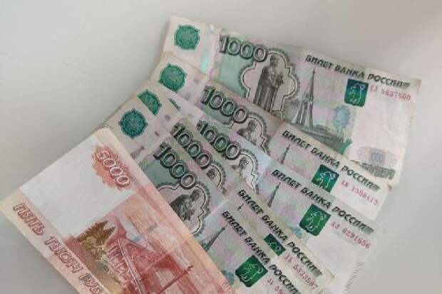 Тамбовчанка заплатит штраф за хищение 350 тысяч рублей соцвыплат на бизнес