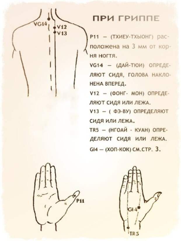 3085196_kakprimenjatbalzamzvezdochkaimagesbig_1 (437x583, 41Kb)
