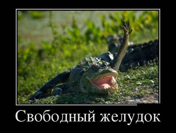 Демотиваторы (30 фото) Демотиваторы (30 фото)